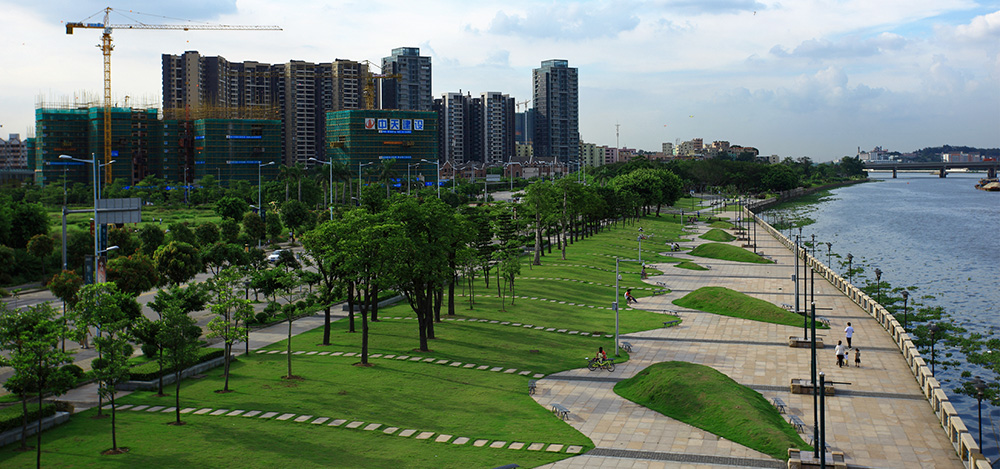 广州市金沙洲居住新城P线景观、K、M、N、U路绿化工程
